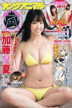 女神捕之孽缘全集